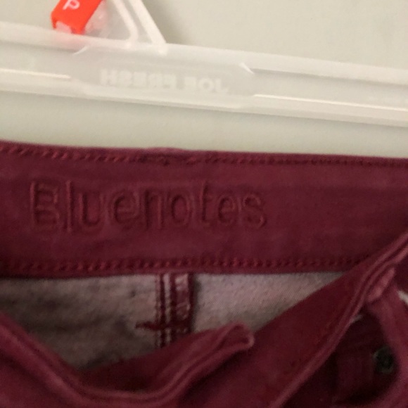 Red Jeans from Bluenotes - Picture 5 of 5